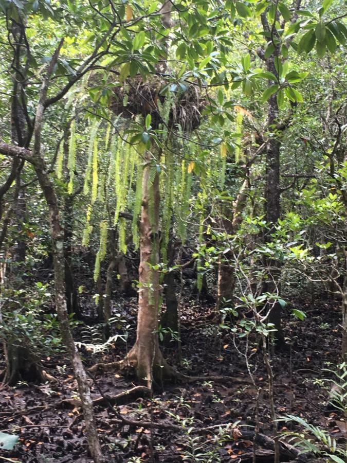 Egrets Rest Holiday home