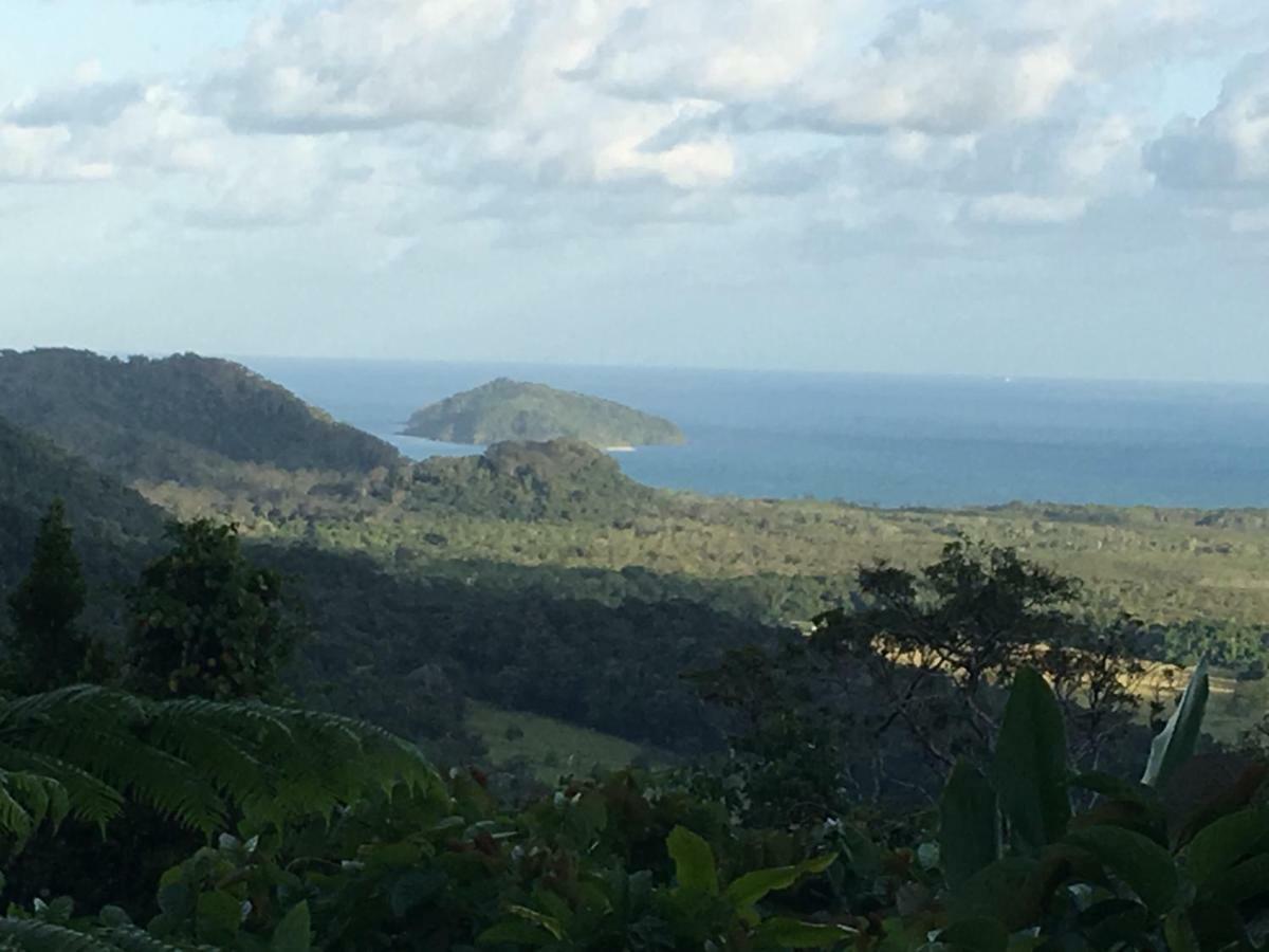 Egrets Rest Daintree